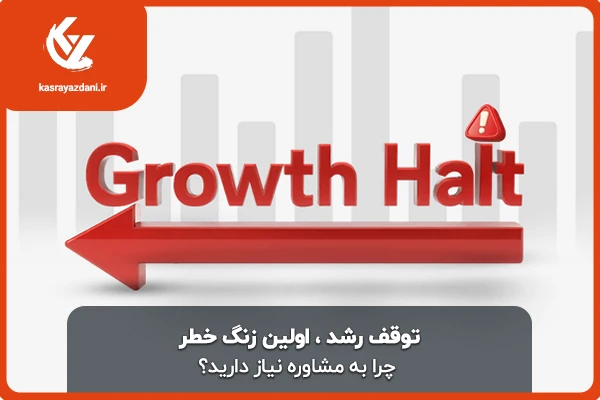 توقف رشد در کسب و کار