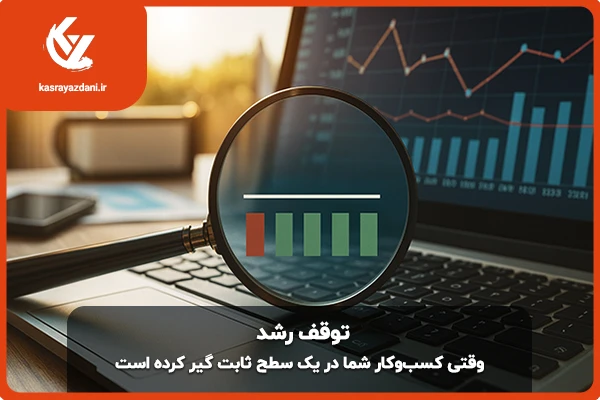 توقف رشد کسب و کار