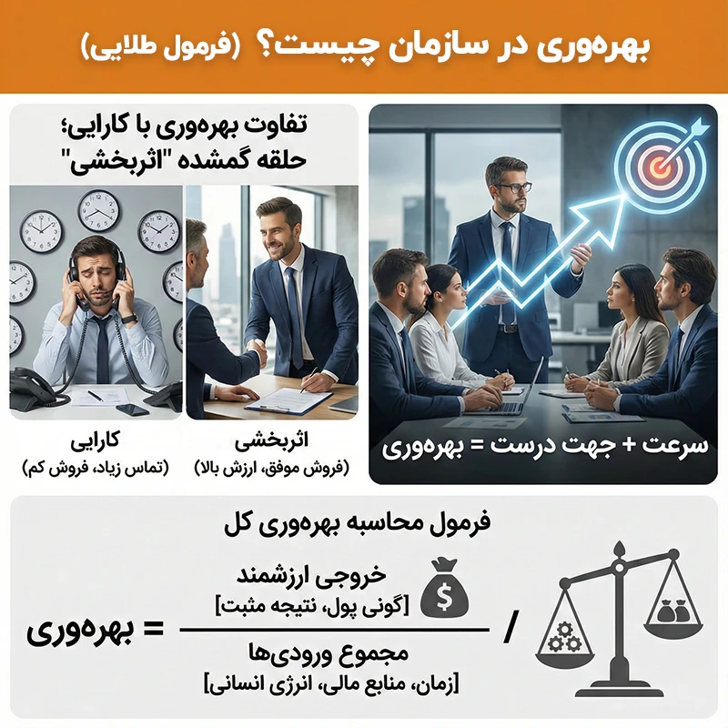 بهره وری در سازمان